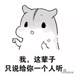 查询中专学历学籍档案,学历学籍档案有哪些内容