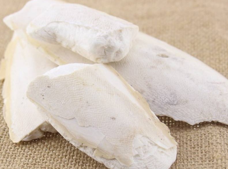 茜草海螵蛸的功效与主治,海螵蛸茜草功效与作用