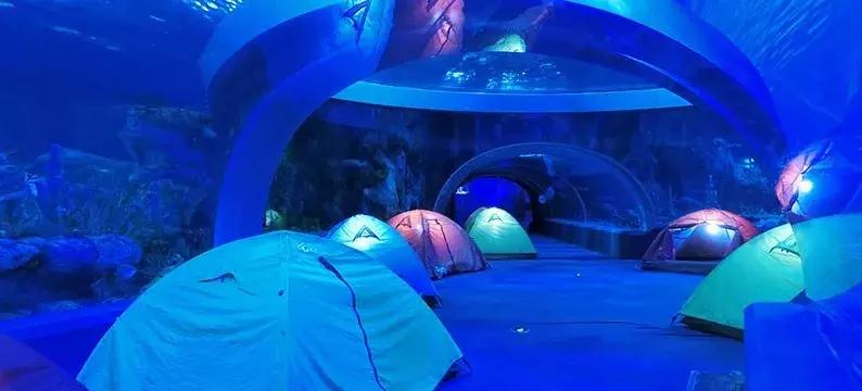 珠海长隆亲子游自由行攻略,珠海长隆亲子游攻略省钱