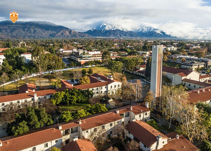 非诚勿扰专业女嘉宾穿搭,非诚勿扰戴眼镜的导师