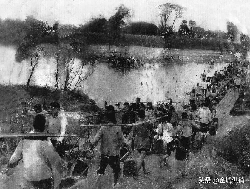 供销社基层合作社发展,供销社三农工作