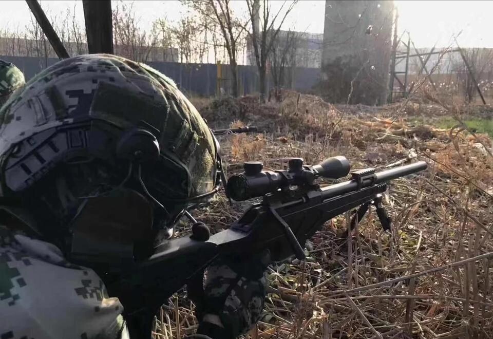 国产十大冷门狙击枪,国产高精狙cs-lr13