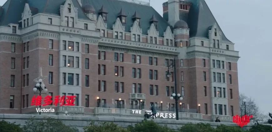 冬季世界冠军,世界冠军的辛酸