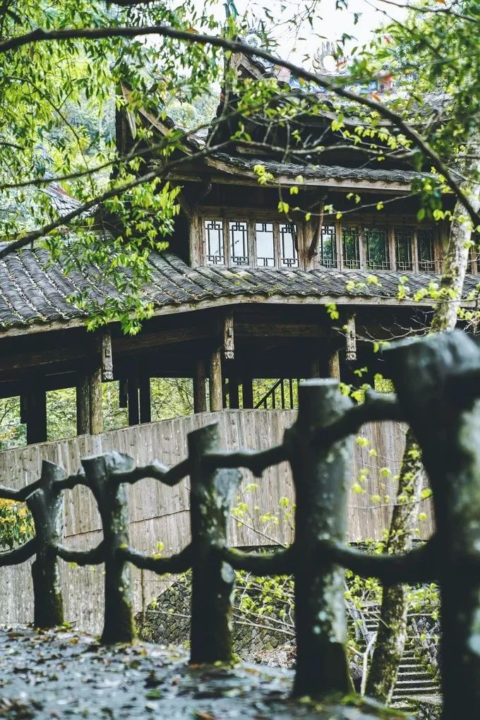 泰顺旅游自驾游景点推荐,浙南小九寨泰顺一日游