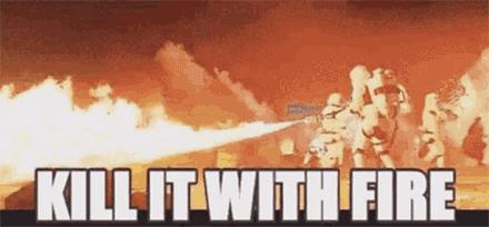 杀人蜂为什么那么可怕,杀人蜂到底有多厉害