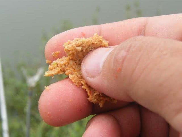 传统钓小杂鱼闹窝怎么办,应对小杂鱼闹钩方法技巧