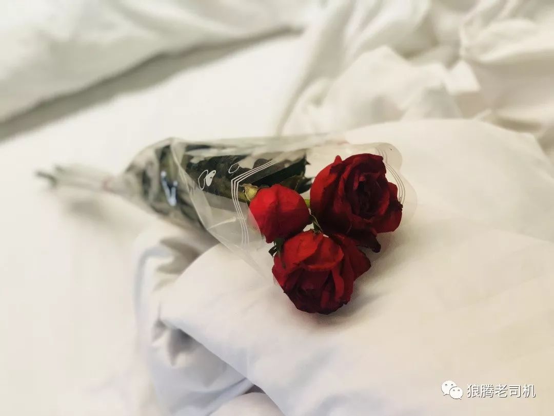 「芭提雅菇凉篇」——情系Lucifer泰仔