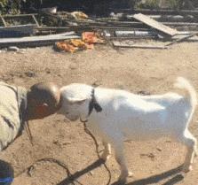 搞笑gif开心一刻,搞笑gif段子妹子你太皮了