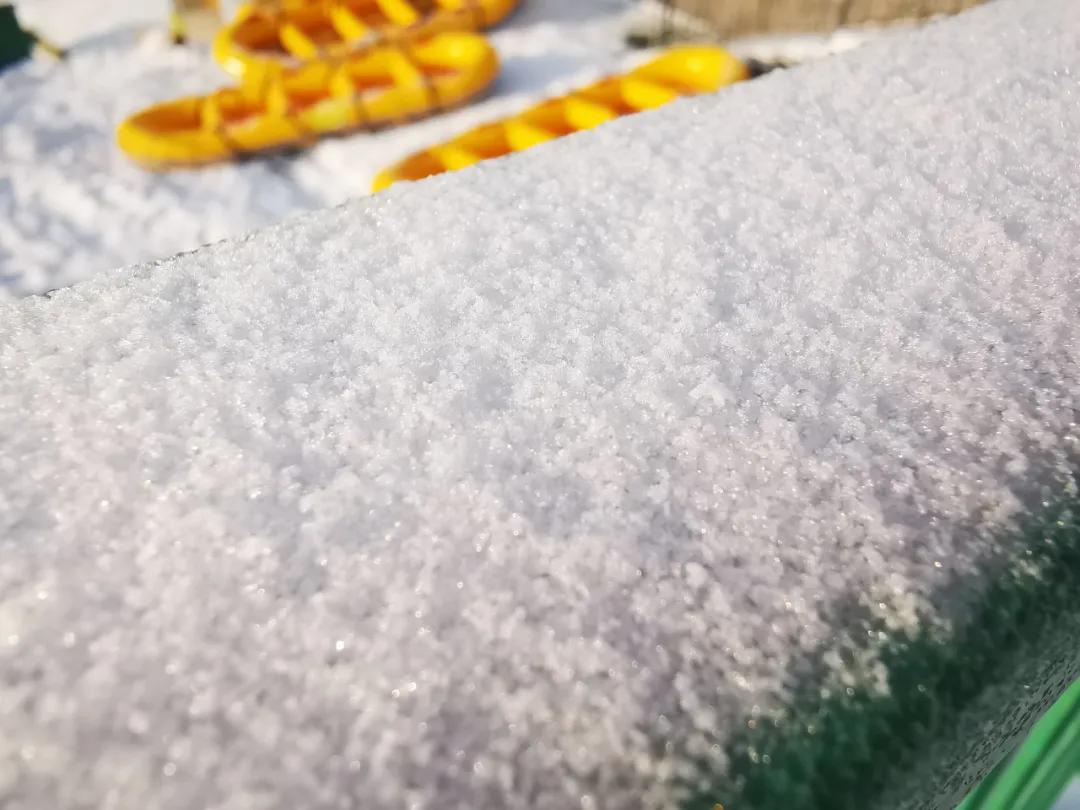 西岭雪山5月份适不适合去,西岭雪山旅游攻略大连