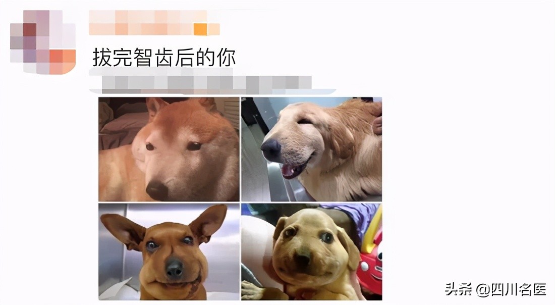 智齿一次拔几颗合适,智齿一定要拔吗几岁拔