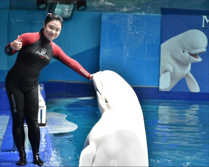 三亚自由行五天最佳攻略,三亚北纬十八度游攻略