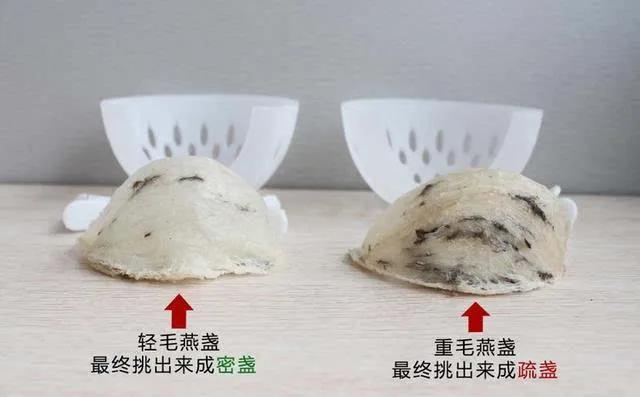 半干挑燕窝还需要挑毛吗,纯手一盏燕窝手工挑毛的过程