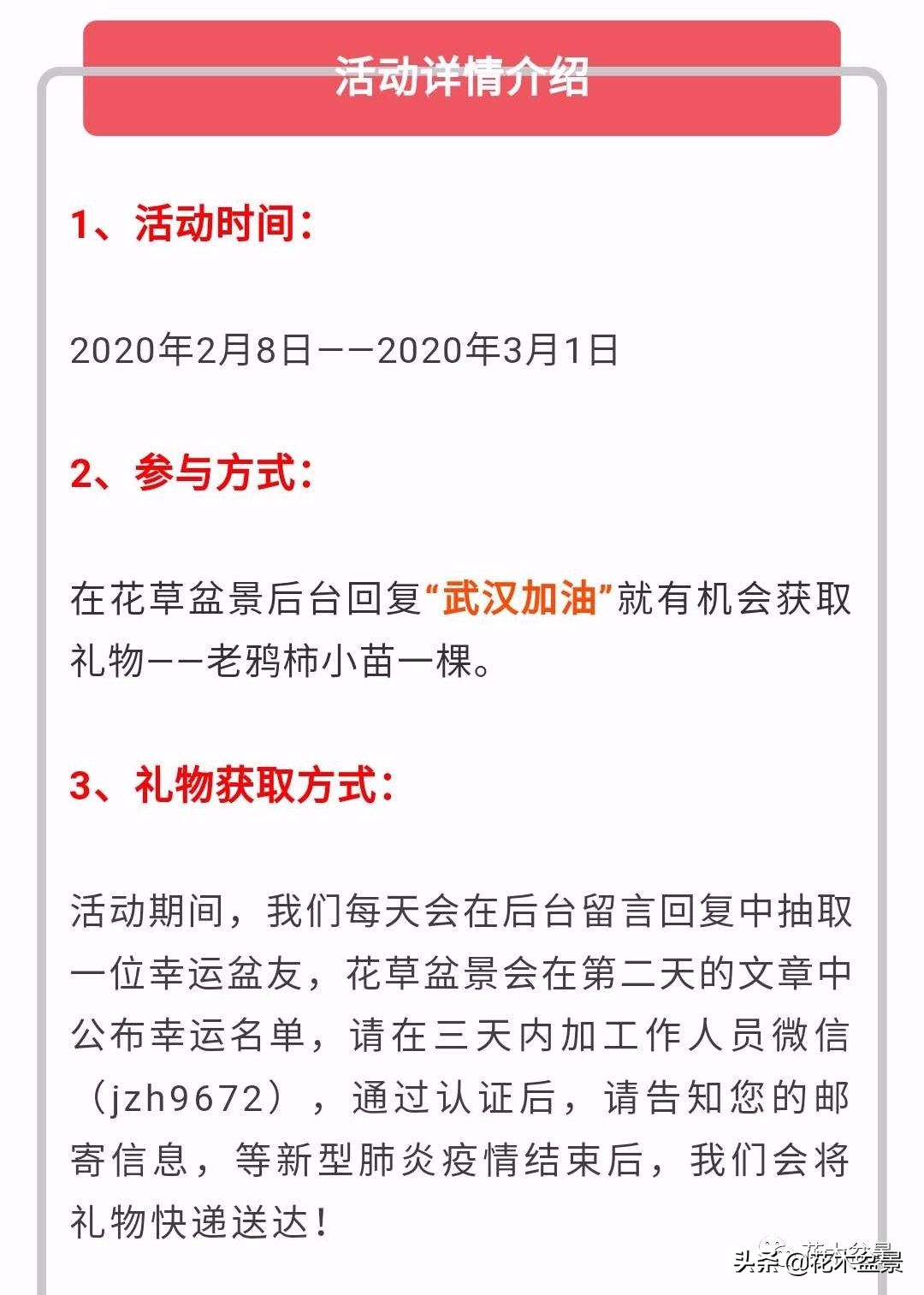 疫情对花艺行业有什么影响,疫情期间盆景怎么处理最好