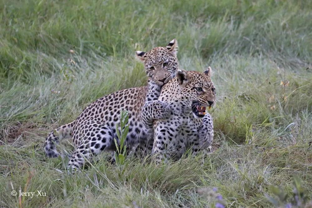 情人节适合干什么事,情人节对方做过最让你感动的事