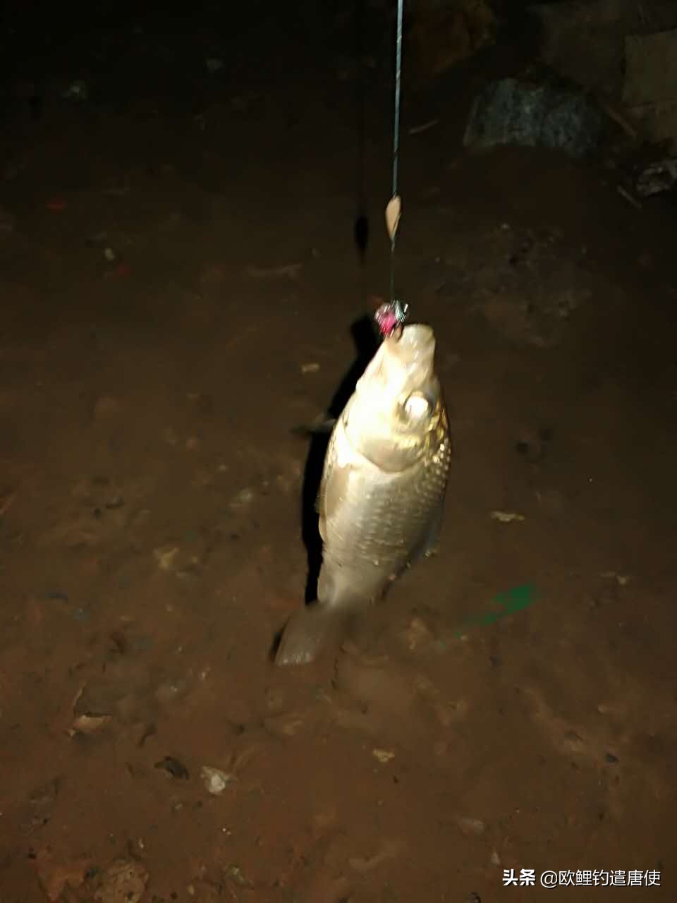 钓鱼也是一种技术,科学钓鱼的基本原理