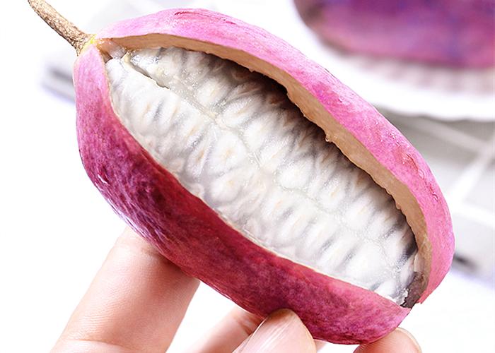 香蕉和野生香蕉,野生香蕉和普通香蕉