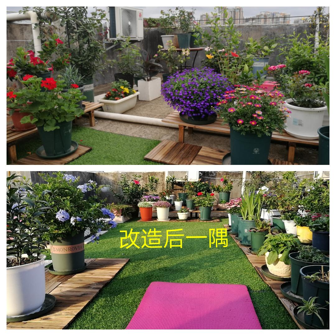 小楼花园0-1养成记