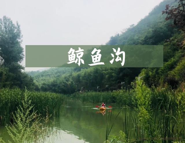 西安景点免费开放最新通知,西安秦岭自驾一日游免费景点