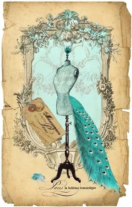 纺织纤维与面料分析介绍,天然纤维面料基础知识大全