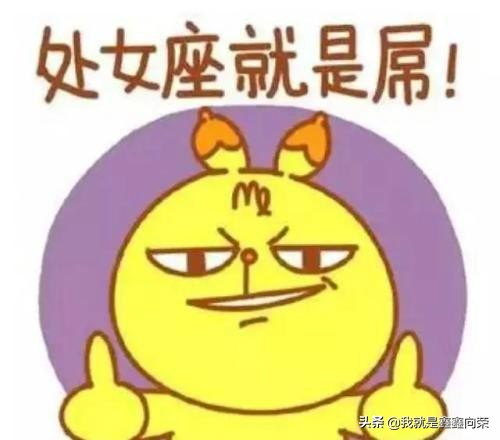 处女座的性格全面解析,处女座女生全面分析运势