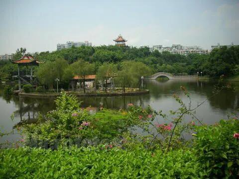 湖泊风景区推荐,深圳十大免费主题公园