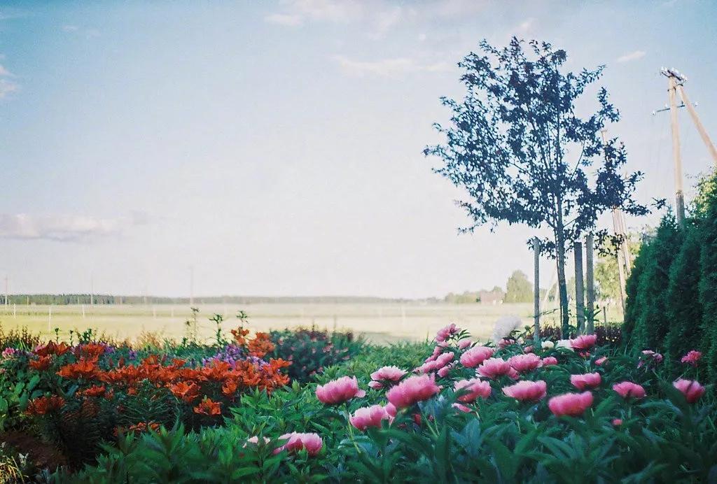 心中有花开人生春常在原文,心里有花开人生春常在