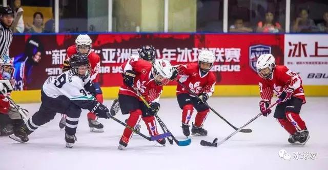 为什么打冰球容易打架,为什么打冰球的都是东北的