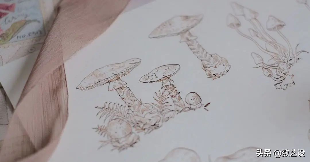 一眼入坑的镜头,一眼入坑下一句