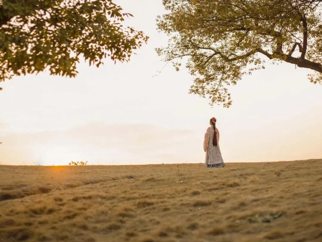 一日一诗词,清平乐朱颜渐老翻译