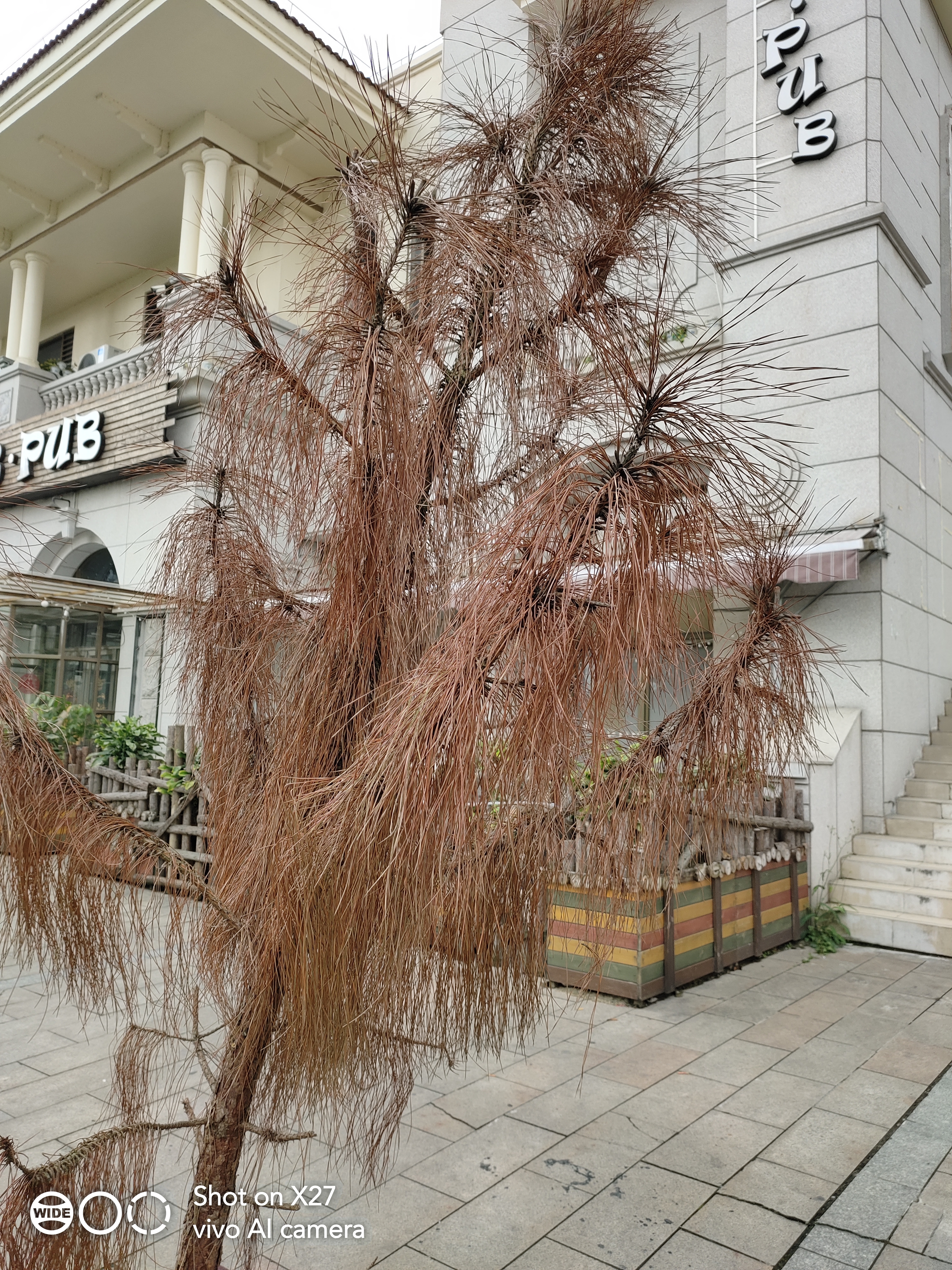 vivox27手机最大的亮点,vivox27全面屏体验怎样