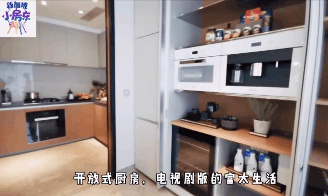 新加坡柏皓顶级豪宅户型图,新加坡乌节路豪宅铂瑞雅居