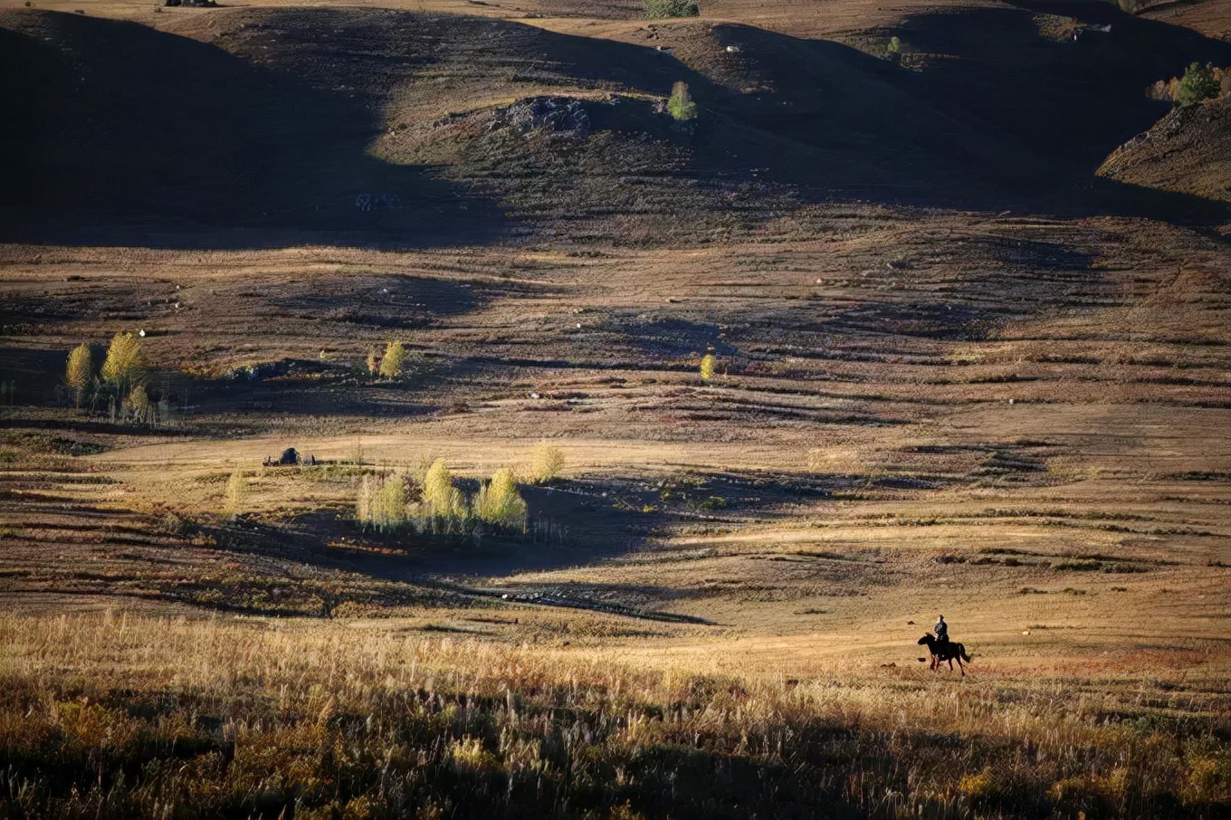 北疆四季,北疆的四季美景