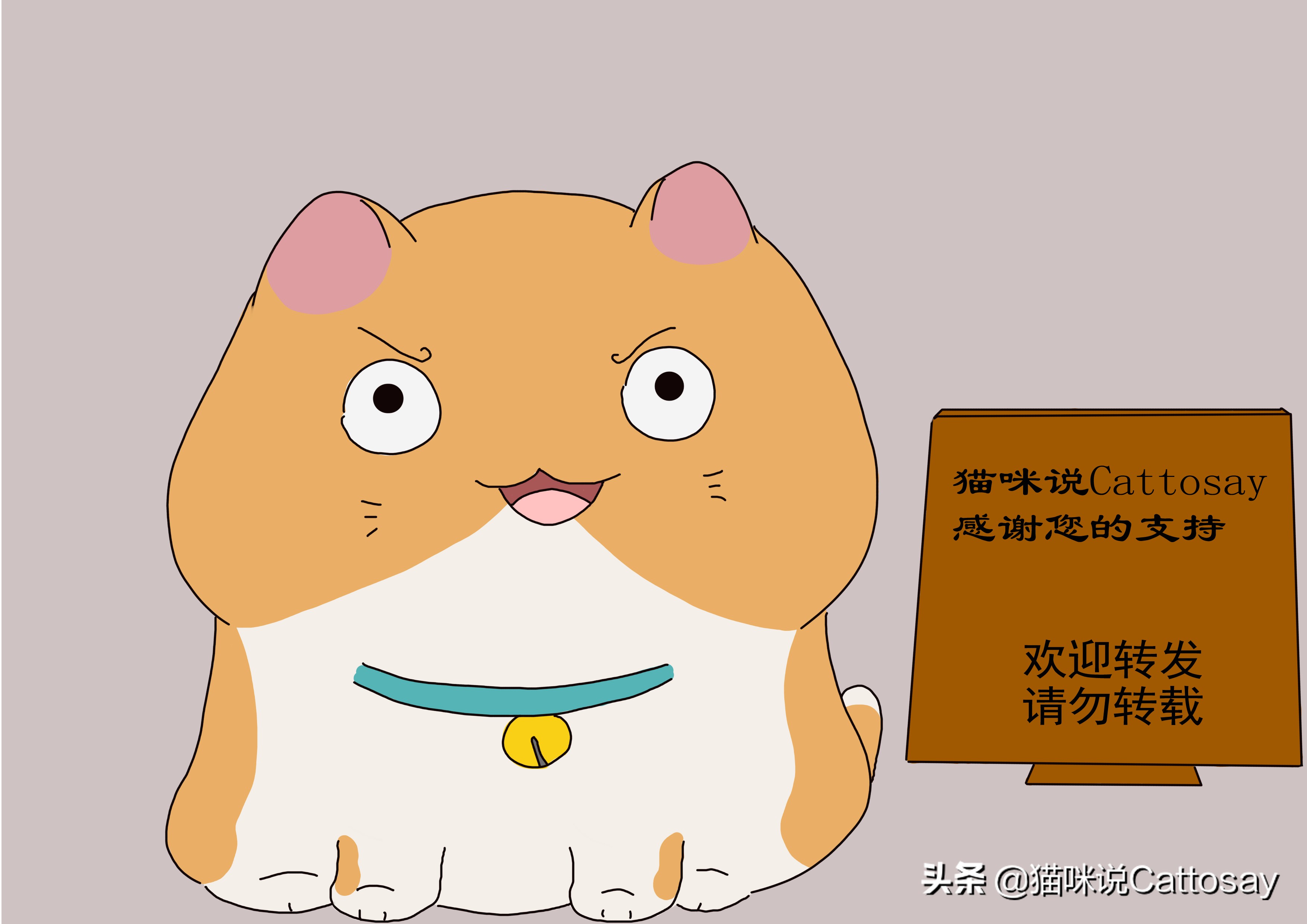 为啥猫咪的行为只有铲屎官懂 (根据猫咪胡须观察状态)