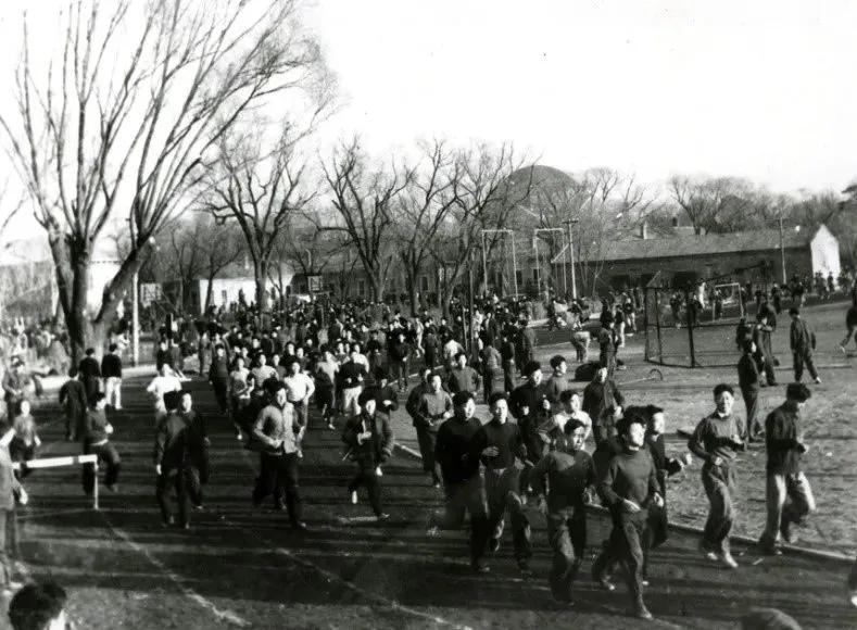 看了冬奥会感受,看了奥运会