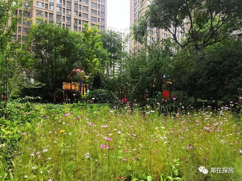 和昌悦澜元和,和昌悦澜