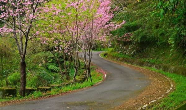 台湾环岛美食推荐,台湾美食攻略自由行