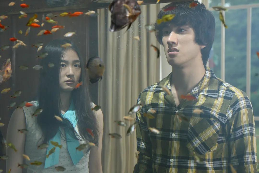 任达华吴君如最新消息,任达华吴君如年度好片