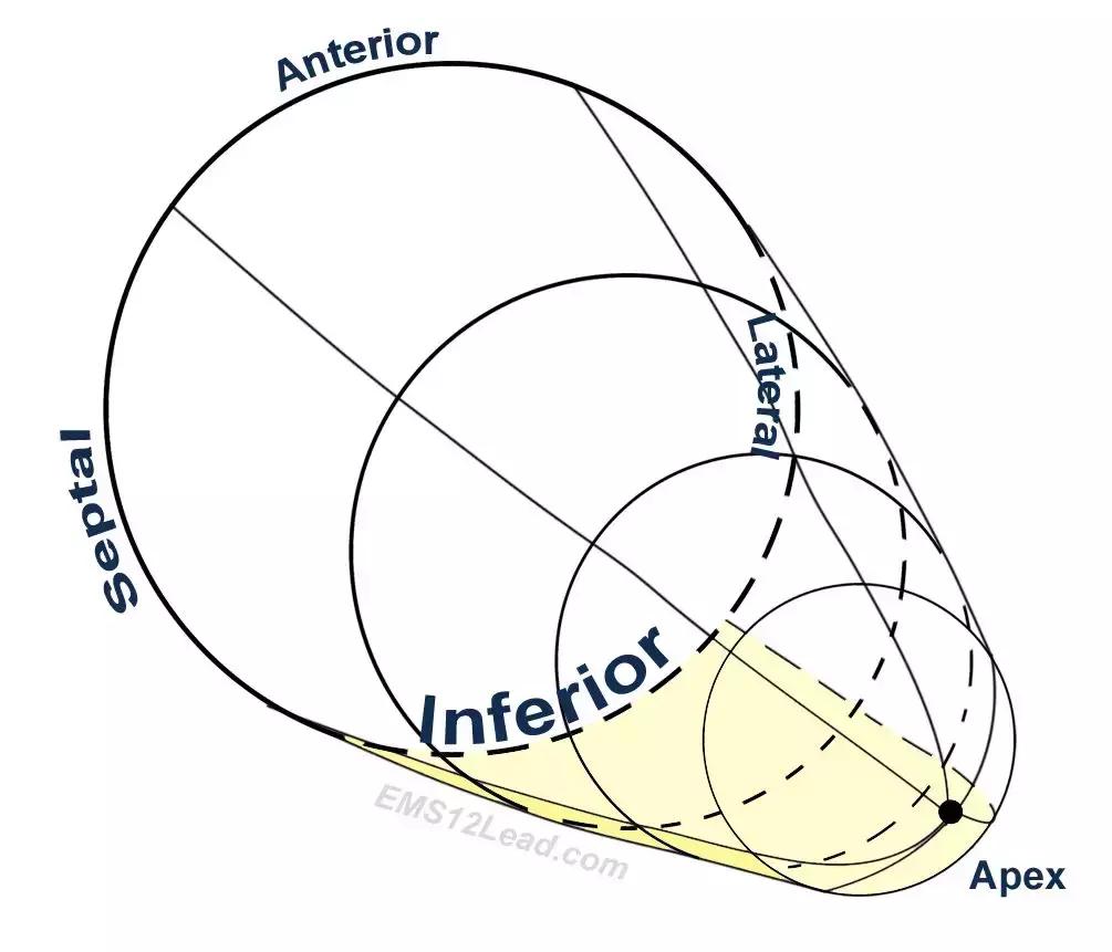 心电图和心脏彩超以哪个为准,心电图和心脏超声是一样吗