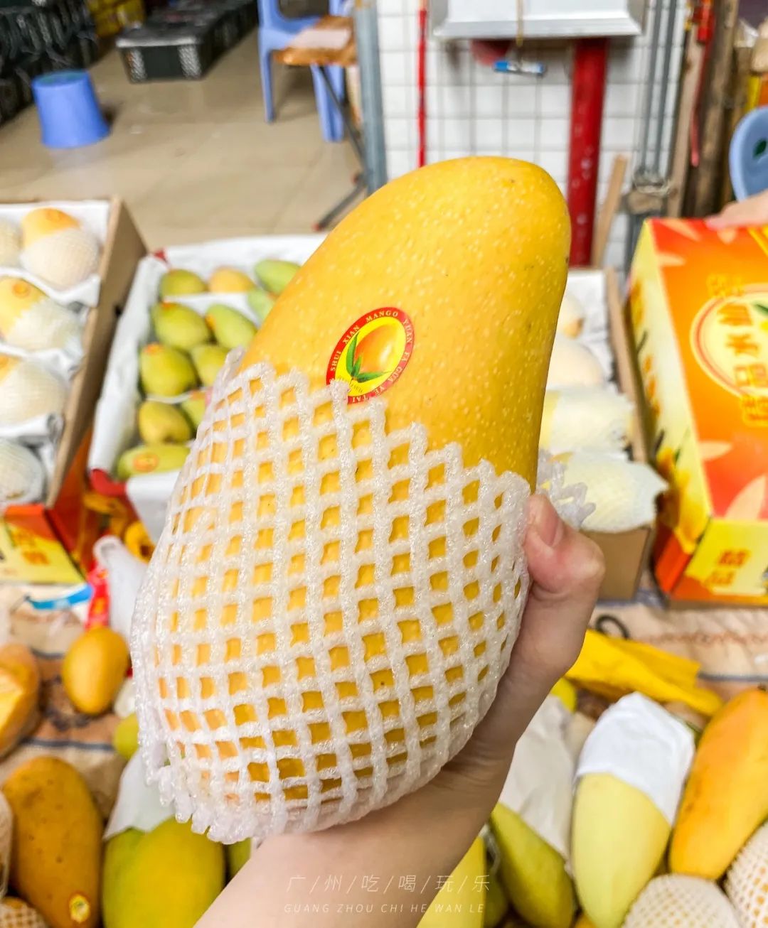 地铁坐到水果市场附近,广州天平架水果市场