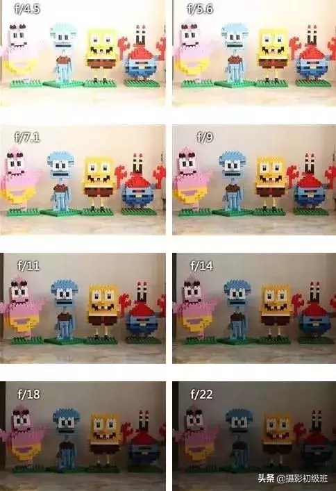 摄影基础知识光圈,摄影基础知识光圈快门感光度