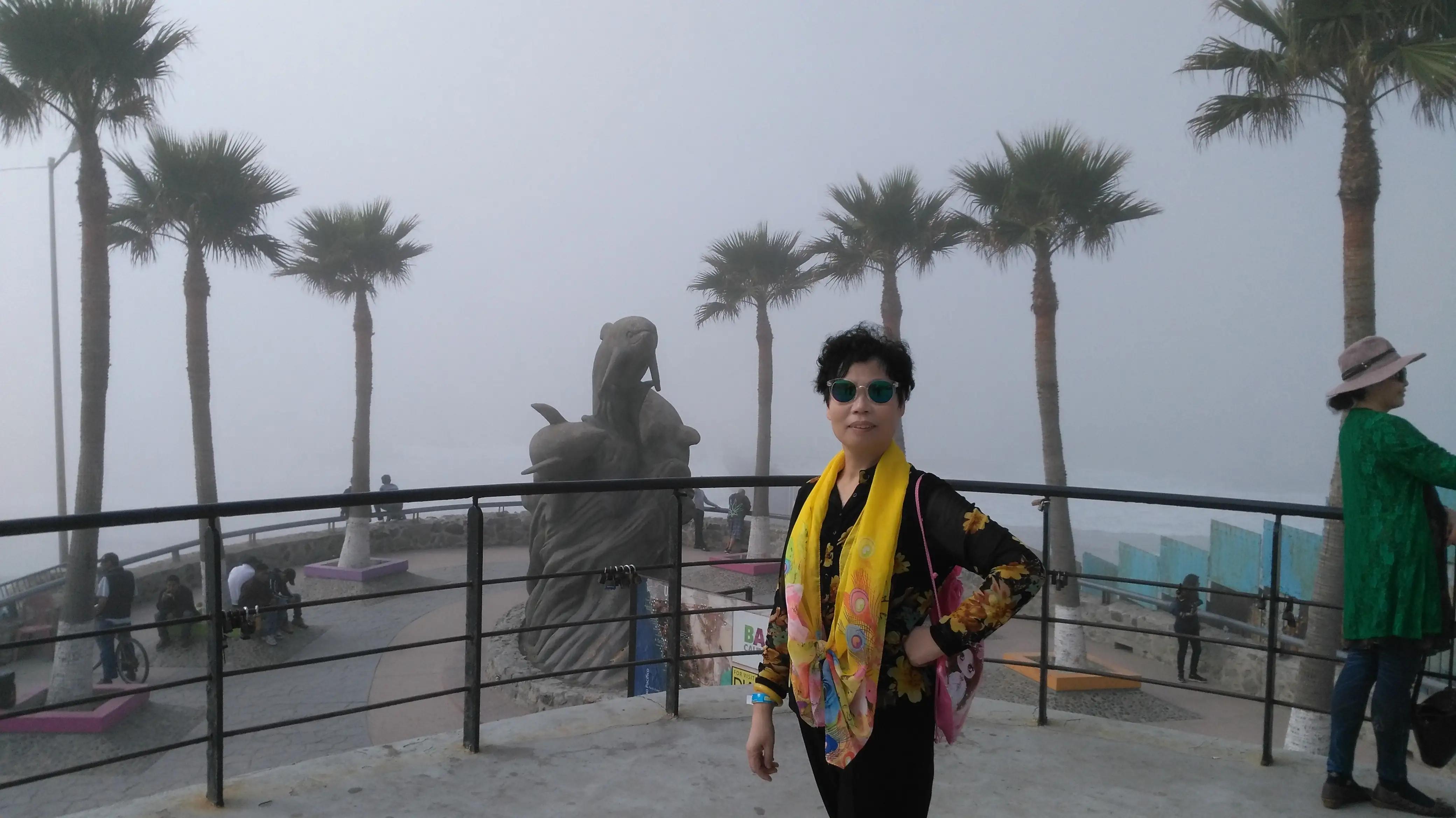 阿莲近期聊天记录,阿莲的聊天记录