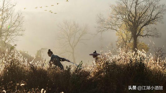 梅花易数的传奇故事,侠客传奇故事