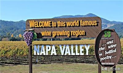 澳洲奔富红酒407价格,除了奔富还可以买什么红酒