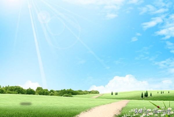 无依无靠才会使人内心强大吧,人在逆境所能依靠只有自己