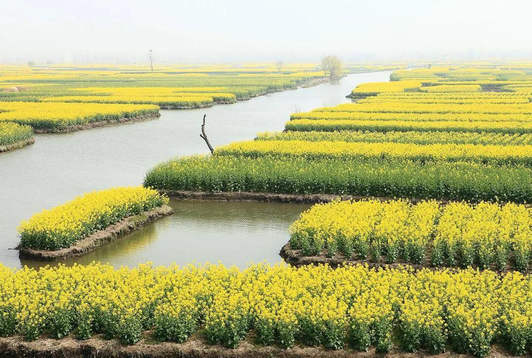 兴化的城市好冷,外地人评论兴化