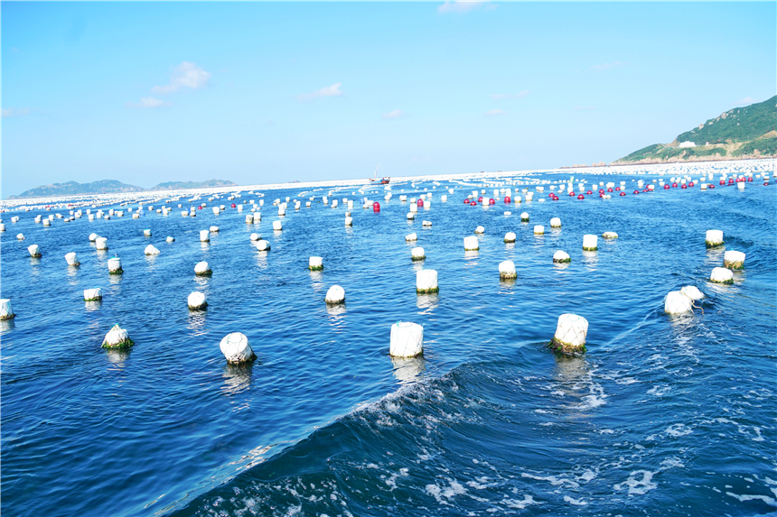 嵊泗东海渔村看日出攻略,嵊泗列岛纯海慢生活三日游