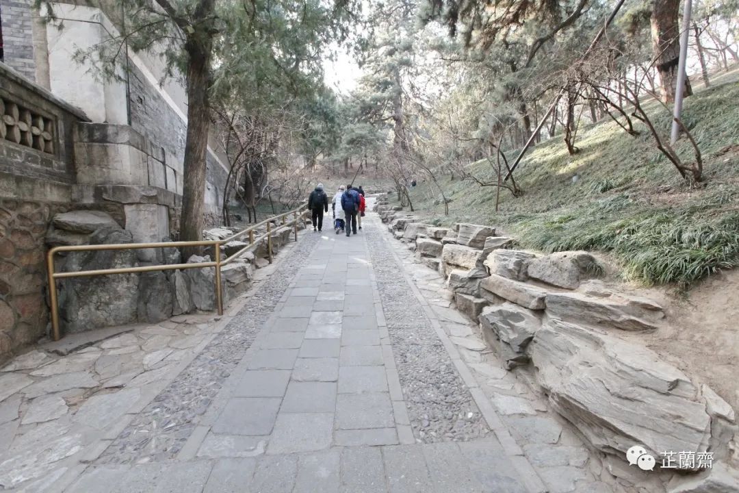 觅画记之黄宾虹,觅画记冷枚