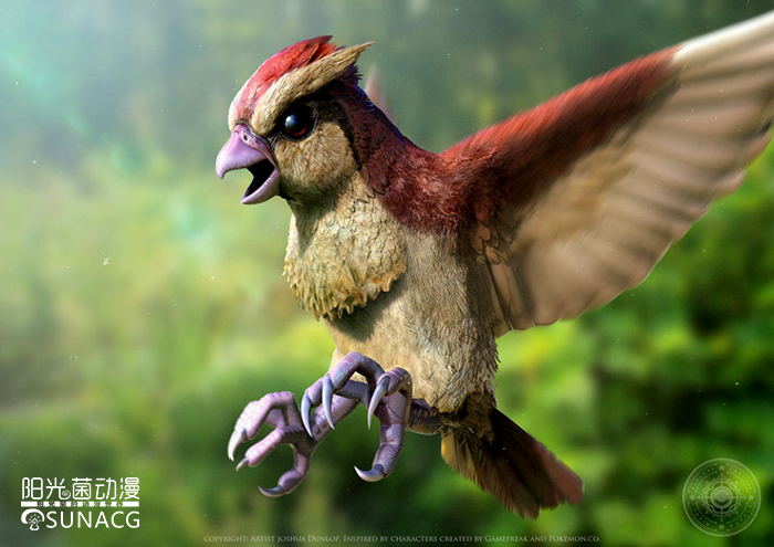 宠物小精灵哪个神奇宝贝最厉害,宠物小精灵里面稀有的神奇宝贝