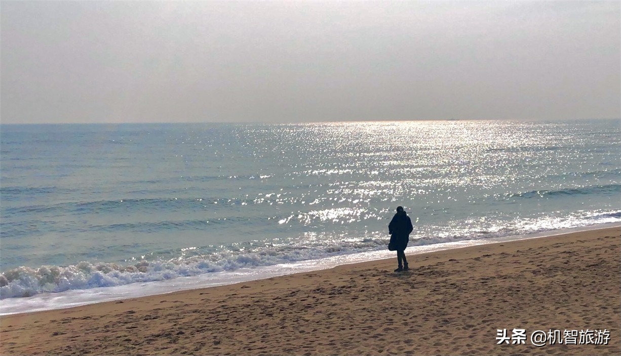 日照渔家乐带小院的住宿推荐,日照渔家乐民宿避雷