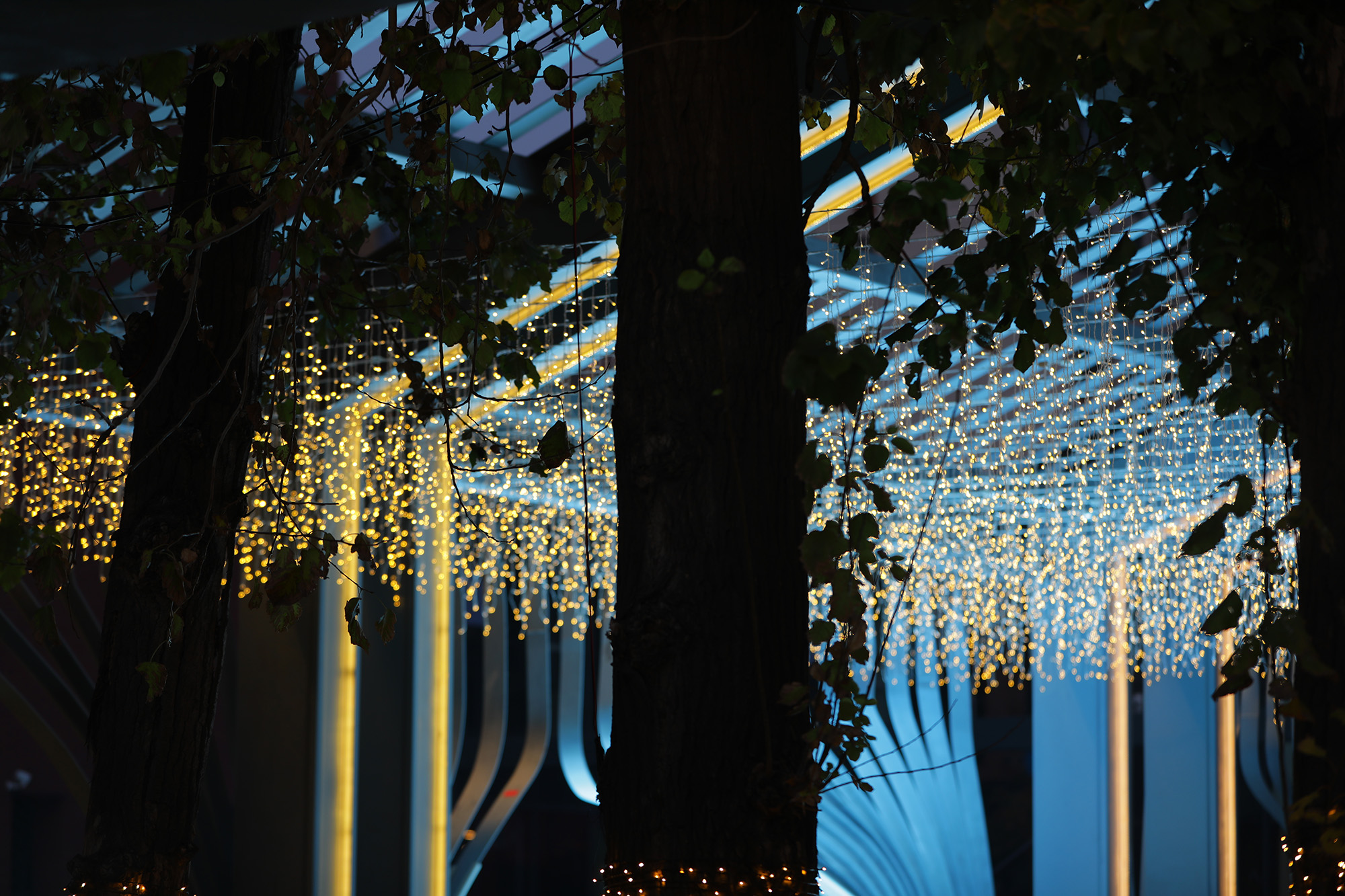 长春万科蓝山c区100平,长春万科蓝山视频